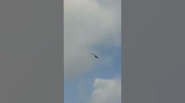 RC Helicopter Gets Smart! Flight Controller Installed! #helicopter #autopilot #rcflight