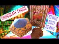 Diy harry potter chocolate frog  bertie bott beans tutorial