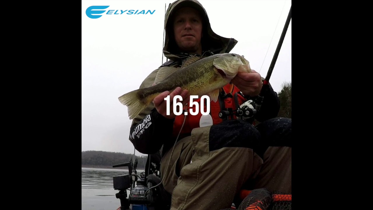 Elysian Fishing YouTube