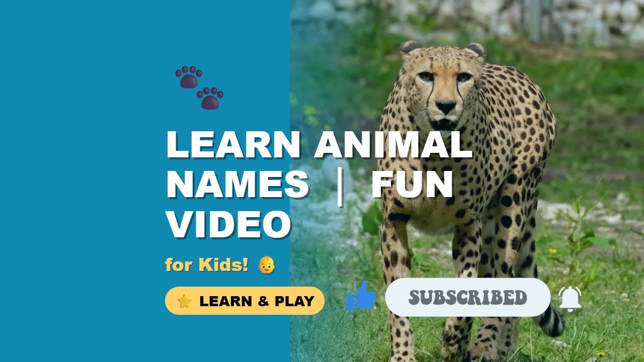 Original Title & Thumbnail
