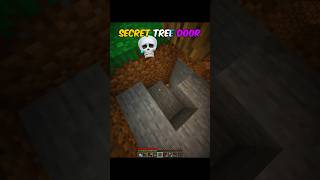 I Built a Secret Door Inside a Tree 😨