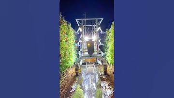 A robot that can pick apples faster than humans 🍎🤖