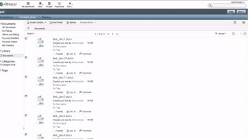 Automated Purging of the Archive Store in Alfresco by Blue Fish Development Group
