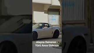 Aleyna Dalveren - Yürü Anca Gidersin, ,