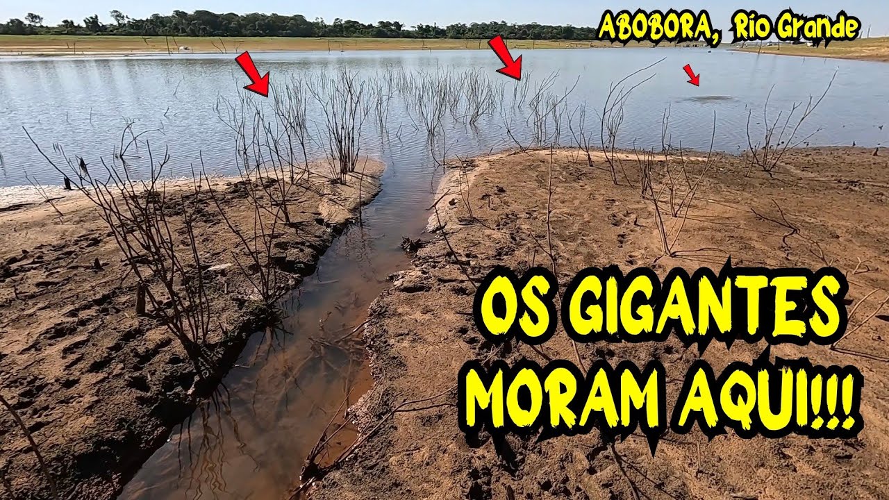 MEU DEUS! QUE PEIXE GIGANTESCO! Quando Vi, Não Acreditei — Pescaria Raiz no Abóbora!