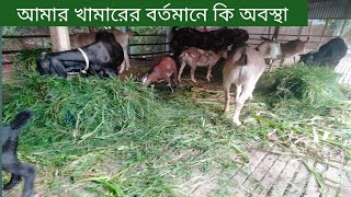 আধুনিক পদ্ধতি ছাগল পালন কোন জাতের ছাগল পালনে  লাভ বেশি।