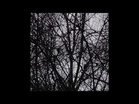 History Of Noise artwork