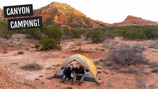 Camping in a canyon (in CRAZY wind!), hiking, & BISON at Caprock Canyons State Park in Texas!