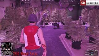 Bikers DLC | Business Tour (Weed Farm) [GTA V] (2FIC)