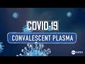 How can antibodies be used to treat COVID-19: Blood plasma explained