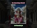 jaya jaya ganesha#sricharan#devotional#sambalpur #puri #subhalabha #puri #bhubaneswar #calcutta