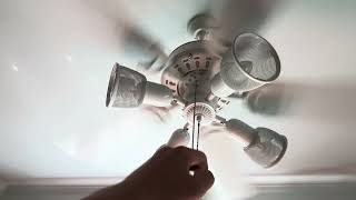 National ceiling fan day special ceiling fans in my house LATE