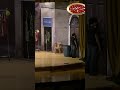 علي ربيع مش لاقي حاجة يعملها فـ قرر يدخل يلعب استغماية على المسرح مسرح مصر