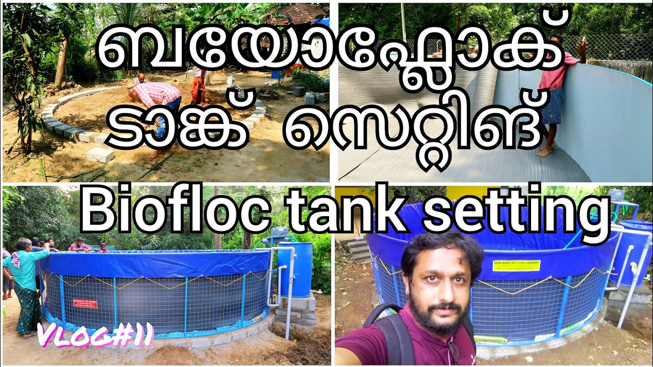 Biofloc tank making/ബയോഫ്ലോക് ടാങ്ക് നിർമാണം