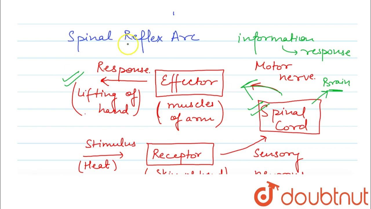 Define в си. Define a b. Define a b. Define a b. Define a b.