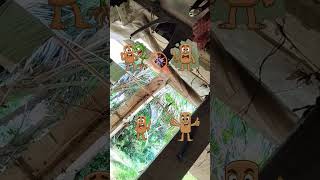 mnvxxcvbbbbvccxxxxcvbbnnnhvccccghhjjhgfsdgbnnbbvcccmn