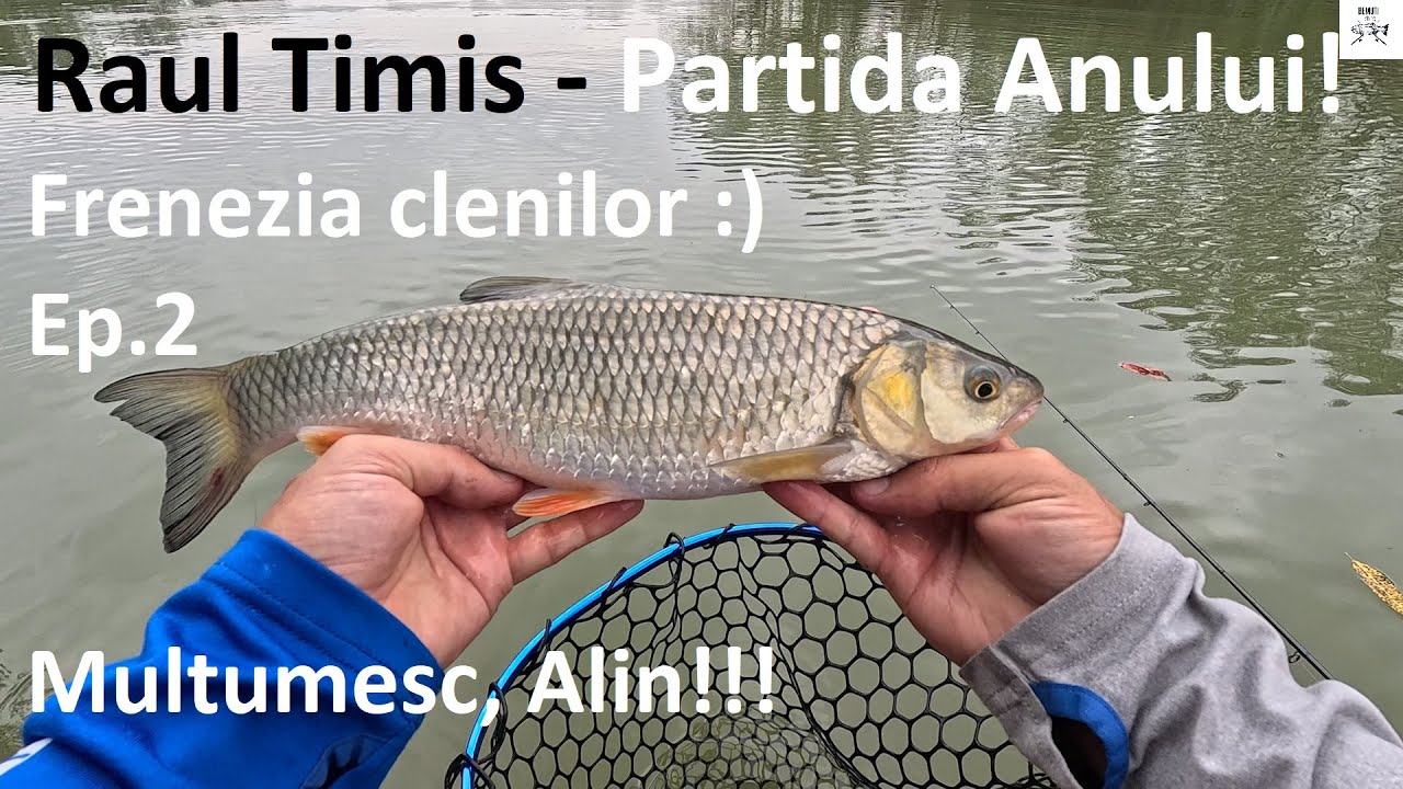 🎣 Pescuit pe râul Timiș - Partida Anului! Frenezia clenilor, la spinning. Episodul 2 🎣