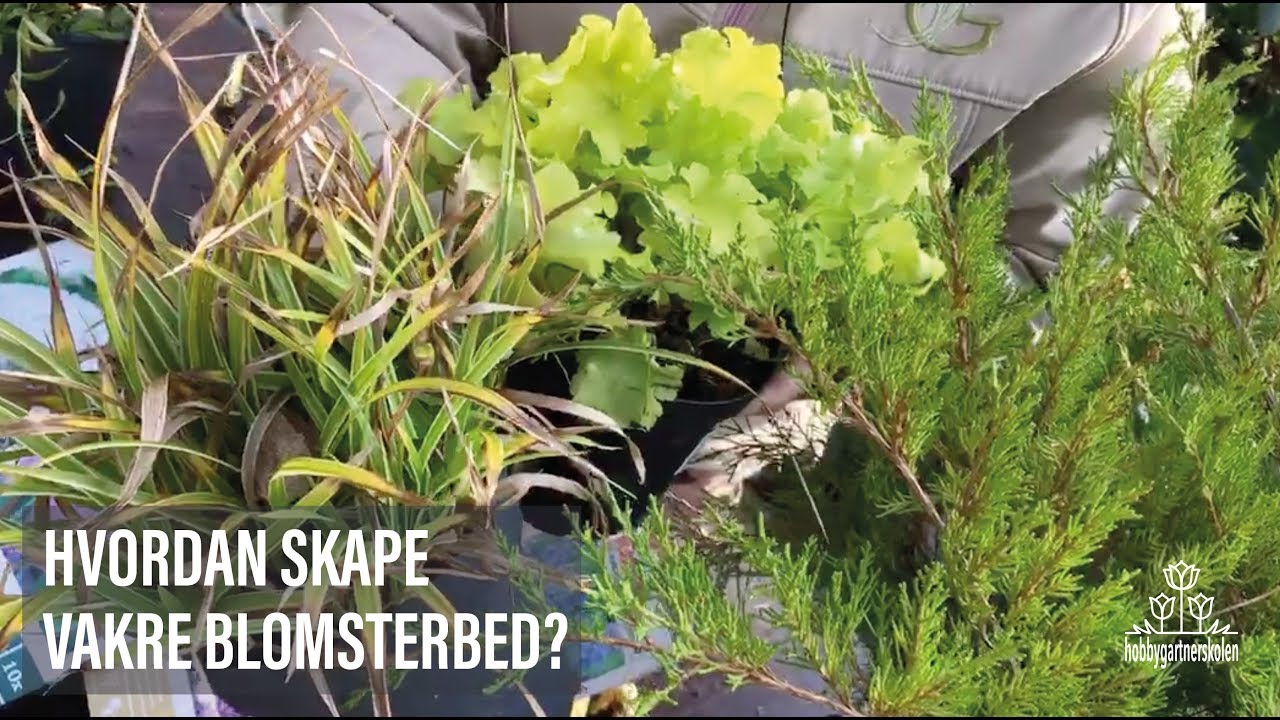 Hvordan skape vakre blomsterbed