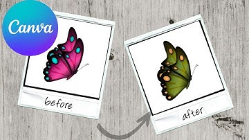 How To Change the Color of Image Using Canva ? Easy Steps