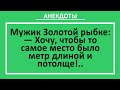 Мужик просит большое хозяйство у Золотой рыбки. Сборник смешных анекдотов! Веселые анекдоты!