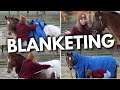 HOW TO BLANKET A HORSE (EASY BEGINNERS GUIDE)