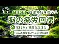 【528Hz・脳疲労回復】DNAを修復するソルフェジオ周波数と自律神経を整える。睡眠導入、ストレス緩和、疲労回復　＃脳の疲れを取る音楽＃自律神経を調整する音楽　＃ソルフェジオ周波数