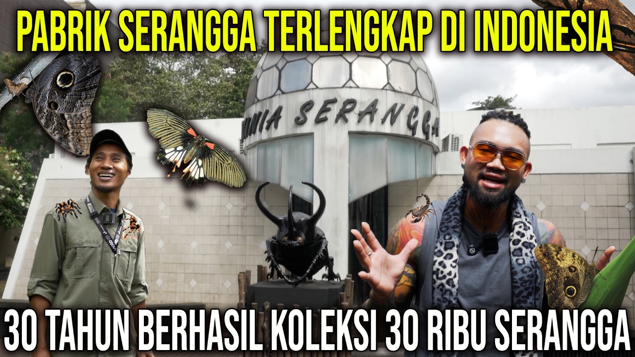 PABRIK SERANGGA TERLENGKAP DI INDONESIA, 30 TAHUN BERHASIL KOLEKSI 30 RIBU SERANGGA #audreya