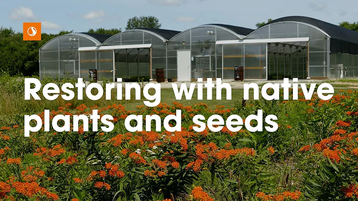 Growing native plants for better ecosystem restoration projects