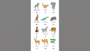 [ P2] Từ Vựng Tiếng Trung Chủ Đề Động Vật - #hsk #tiengtrunghsk #tiengtrung #vietnam #learnchinese
