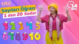 1'den 20'a Kadar Sayıları Öğreniyorum l Okul Öncesi için 20'ye Kadar Sayıları Öğreniyoruz screenshot 5