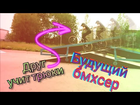 Где машины делают трюки