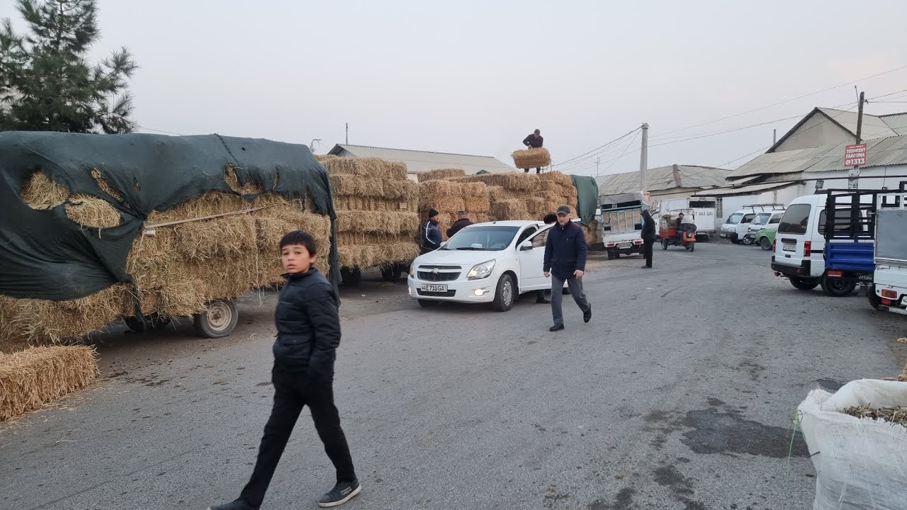 Farĝona Margʻilon Kombinat Yem bozori narxi 👍👍👍👍👍