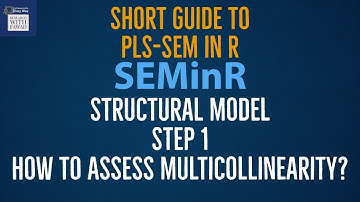 SEMinR Quick Guide - Structural Model - Step 1 - How to Assess Multicollinearity?