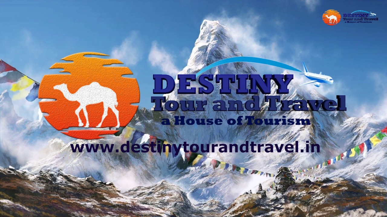 dream my destiny tour company