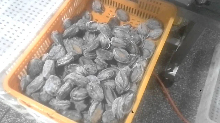 Frozen Abalone Automatic weight sorter machine -Dahang Automation