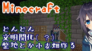 【Minecraft】寝る前に整地と小麦畑作りたい【にじさんじ／空星きらめ】