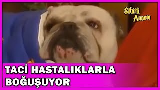 Taci Hastalıklarla Boğuşuyor! - Sihirli Annem Özel Klip screenshot 2