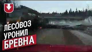 Лесовоз опрокинул бревна на легковушку