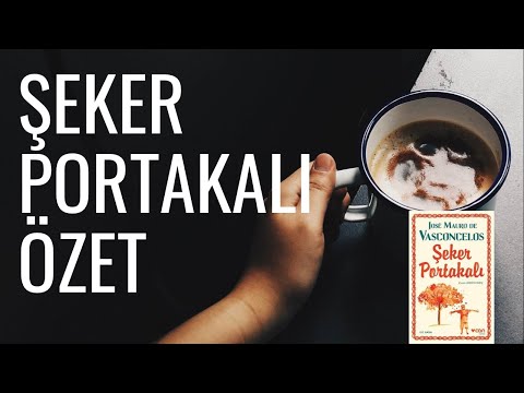 Şeker Portakalı Özet / Sesli Kitap / Kitap özetleri | 11 gece