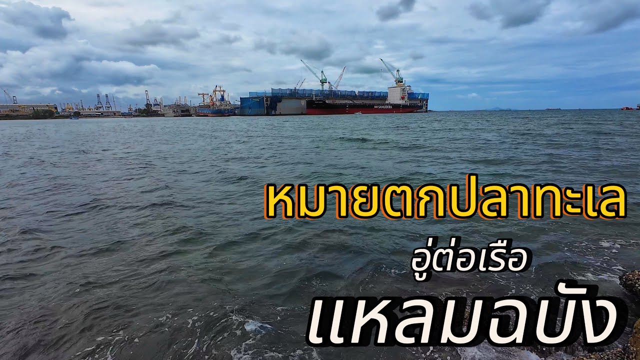 ตกปลาทะเล ที่อู่ต่อเรือแหลมฉบัง ชลบุรี #fishing #ตกปลาทะเล #หมายตกปลาทะเล #หมายตกปลาแหลมฉบัง #ตกปลา