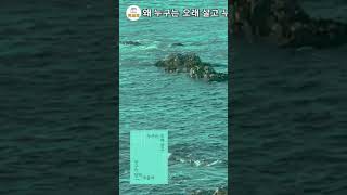 오래사는 사람들의 비밀 #건강 #책도리 #좋은글 #장수