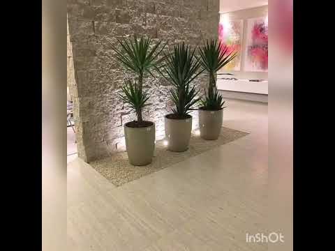 🎬 Video relacionado con macetas de interior grandes
