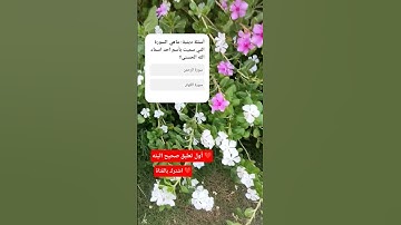 ماهي السورة التي سميت بأسم من اسماء الله الحسنى