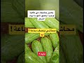 محشي كوسا بطنجرة قدر الضغط اشترك بالقناة Explore Subscribe Shorts Viral محشي Food 