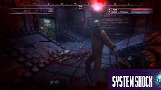 System Shock- Night Dive Studios