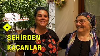 Şehirden kaçanlar: İstanbul'dan Germiyan köyüne göç | 'Denizim, doğam elimin altında'