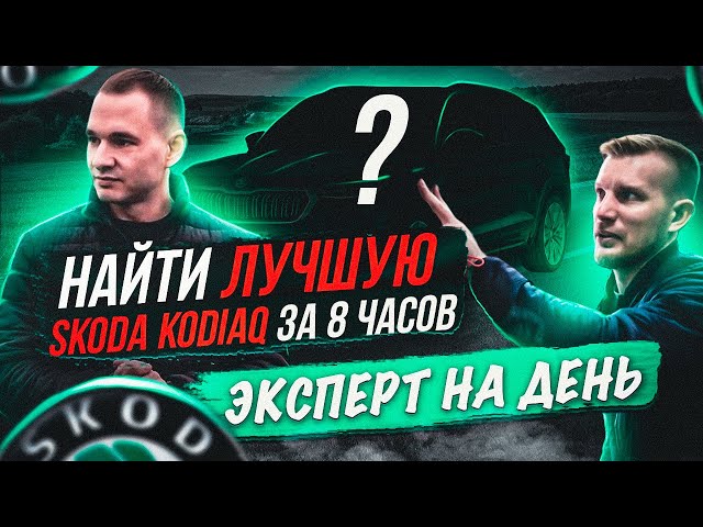 НАЙТИ ЛУЧШУЮ SKODA KODIAQ ЗА ДЕНЬ - YouTube