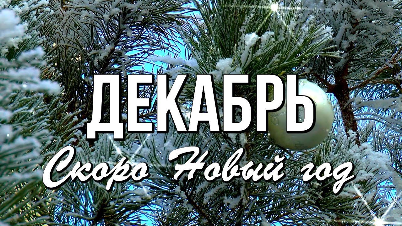 Том что с 1 декабря. 1 Декабря зима. Декабрь. Первый день зимы. 1 Декабря картинки.