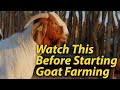 4 things to consider before starting a goat farm business