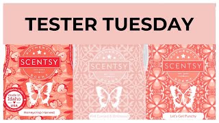 Tester Tuesday Honeycrisp Harvest Pink Currant Birchwood and Let s Get Punchy Scentsy Reviews